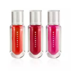 웨이크메이크 수분 톡 틴트 4g - 립틴트 발색 픽싱 착색 R