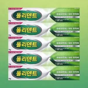 폴리덴트 의치 부착재 틀니 접착제 민트향 70g 5개