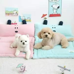 중소형견용 푹신 방석겸 침대 U132349 강아지하우스