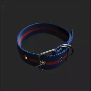 개목줄 PP 특대 30mm 파랑 대형 중형 넥밴드 나일론 애완견 개줄 목걸이목 강아지 산책 개목 반려견 댕댕이