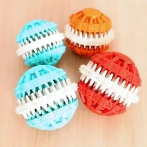 bns 강아지 노즈워크놀이 치석제거 덴탈 장난감볼 강아지공 강아지노즈워크