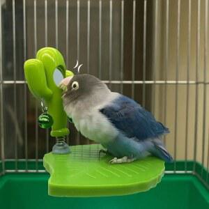 모양 놀이대 장난감과 장식 포함 함께 놀이터 사다리와 4단 내구성 버디용 실내 버디를