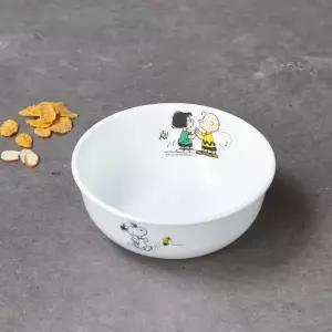 코렐 스누피 더홈 국대접