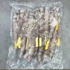 [우리집소싱] 낙지 호롱 900g 술안주 호프안주 캠핑꼬치 우리집소싱