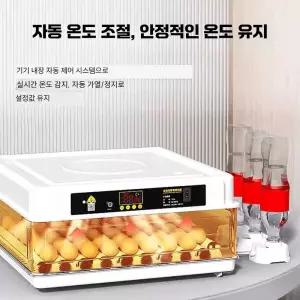 소형 부화기 달걀 거위 알 조류 급수 오리 제품 닭