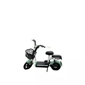 출퇴근 2인용 전기 전동 2인용전기자전거 블랙 자전거