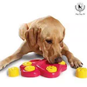 딩동펫 강아지 노즈워크 장난감 훈련 용품 똑딱이