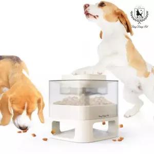 딩동펫 강아지 노즈워크 간식통 욕구 해소 사각푸쉬