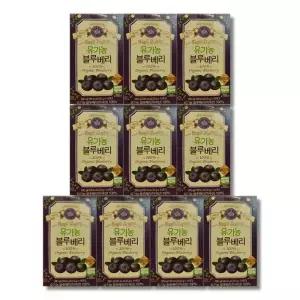 홀베리 통째로 갈아만든 유기농 블루베리 20g x 14포 10박스