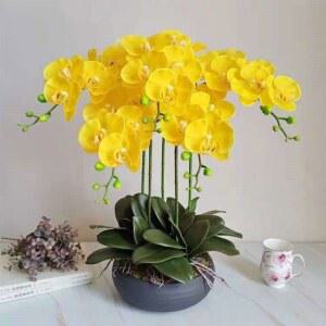 서양난 조화 화분 장식 호접란 세트 카페 꽃잎 개업선물 거실 행운