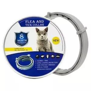 [반려] 여름 산책 해충방지 목걸이 S 1P 반려견 고양이 목줄