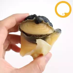 참소라 피뿔고둥살 냉동 자숙 소라살, 1kg L (약20~33개)