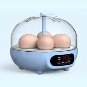 계란 인큐베이터 미니 자동 단일 부하기 조류 닭부화기 메추리키우기 오리 Weizhen