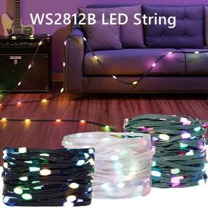 WS2812B RGB LED 문자열 투명 녹색 검정색 와이어 5M-20M 주소 지정 가능 파티 웨딩 갈 랜드 장식 크리스마