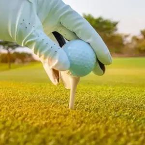 골프티 숏티 롱티 3종 20p 나무골프티 우드골프티