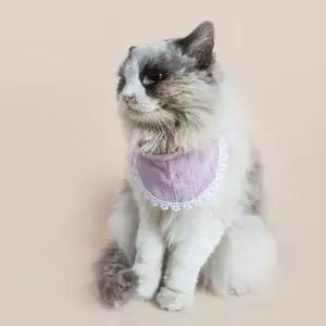 강아지 고양이 3컬러 귀여운 심플 턱받이 케이프