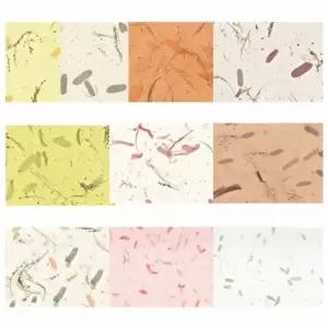 글로벌이지 예한 응용한지2 상록수지 조선종이 조선지 25장 640x940mm 공예용 포장 부자재 만들기 재료