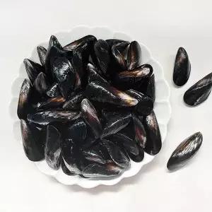 남해촌놈들 국내산 홍합 2kg