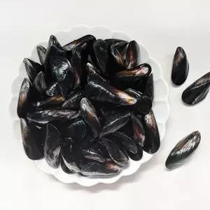 남해촌놈들 국내산 홍합 5kg