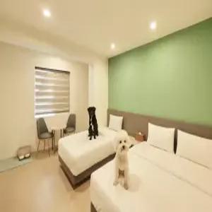 [강원 모텔] 속초 도글리아 호텔 (DOGLIA HOTEL) (속초,고성)