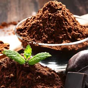 초콜릿 다크초콜릿100% 무설탕 대용량 카카오매스 다크100 파우더, 1kg, 2개