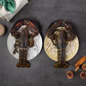 [프롬바당](신세계 사우스시티)활랍스터 대 (1마리 1kg) 2미 2kg(백화점선물포장)