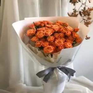 에밀리정원 피치팡팡장미 생화 1단