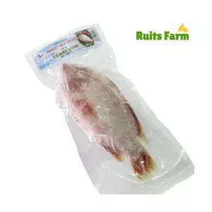 [루츠팜]베트남 냉동 레드 틸라피아 1kg 이상 (1~1.19kg) 1마리 ca dieu hong 레드틸라피아 베트남생선