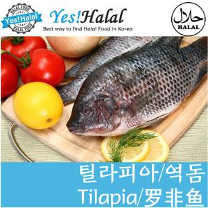 틸라피아 블랙틸라피아 역돔 Tilapia (2마리, 900g)