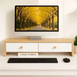 서랍형 모니터 받침대 데스크 오거나이저 다용도 수납형 정리대 키보드 수납 선반 모니터거치대