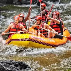[빈땅투어] 발리 아융강 래프팅 + 우붓 명소 올인원 데이 투어