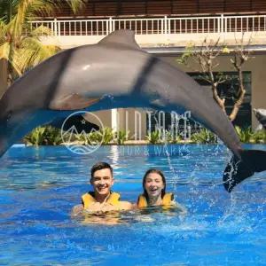 [빈땅투어] 돌고래와 함께하는 선물 같은 시간 | 발리 돌고래 인터렉션 체험