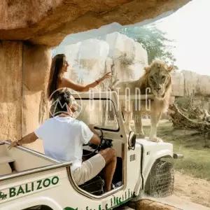 [빈땅투어] 발리 동물원 투어 | 발리 Zoo, 칸토 람포 폭포