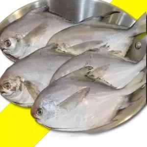 손질 병어 10마리 병어 생선 흰살생선 손질생선 냉동생선