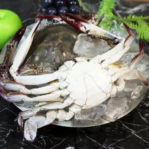 연평도 냉동 숫꽃게 3kg 15-18미 소 연평도꽃게 국산 냉동꽃게 냉동 수꽃게 봄꽃게 겨울꽃게 서해안꽃게