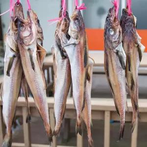 명태 반건조 코다리 3미 1.4kg