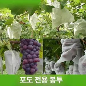 과일보호망 방수 방충 방새 망사 포장 통기성 과일 포장용 그물망