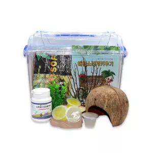 소라게 키우기 초보 기본세트 대