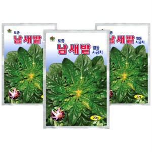 씨드코리아 남새밭 월동시금치 씨앗 20g 3개입