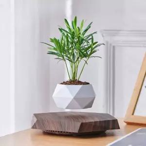 무중력 화분 공중 특이한 선물 부양 가드닝 집들이 식물