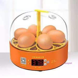 미니 KC 자동 계란 6구 부화기 달걀 회전 병아리 닭 닭병아리wxy045