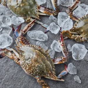 국내산 냉동 암꽃게 3kg 9-15미