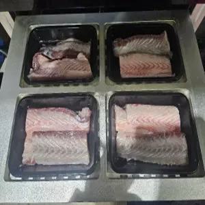 청정해역에서 조업한 국산 대삼치회500g 원물 6kg이상