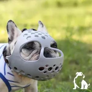강아지 입마개 단두종 마스크 물림 방지 실리콘 불독 퍼그 산책 외출 훈련