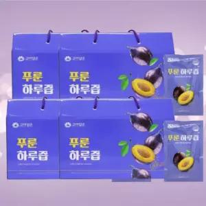 고이담은 푸룬 하루즙 70ml x 30포 4박스 착즙액 식이섬유