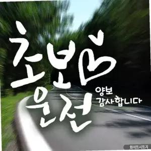 자동차스티커 하트초보운전 캘리화이트 화이트시트지