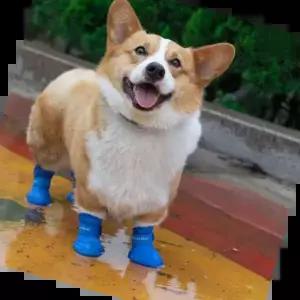 강아지신발 반려동물 외출 실리콘 논슬립 소프트 레인부츠 S M L