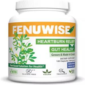 산 완화를 위한 펜파이버 내추럴 페누그릭 섬유 캡슐 보충제 - 소화기 건강을 지원하는 프리미엄 비건 식이