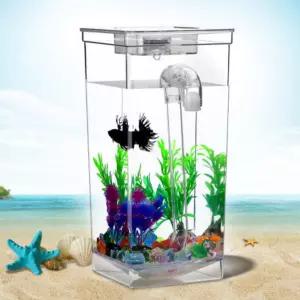 물멍 자동 금붕어 키우기 어항 베타 해수어 구피 청소 해파리