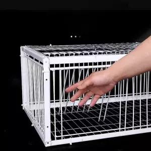 새 포획망 그물망 새망 트랩 비둘기 투망 조류 덫 철제 참새 방조망 잡는 새포획망 닭